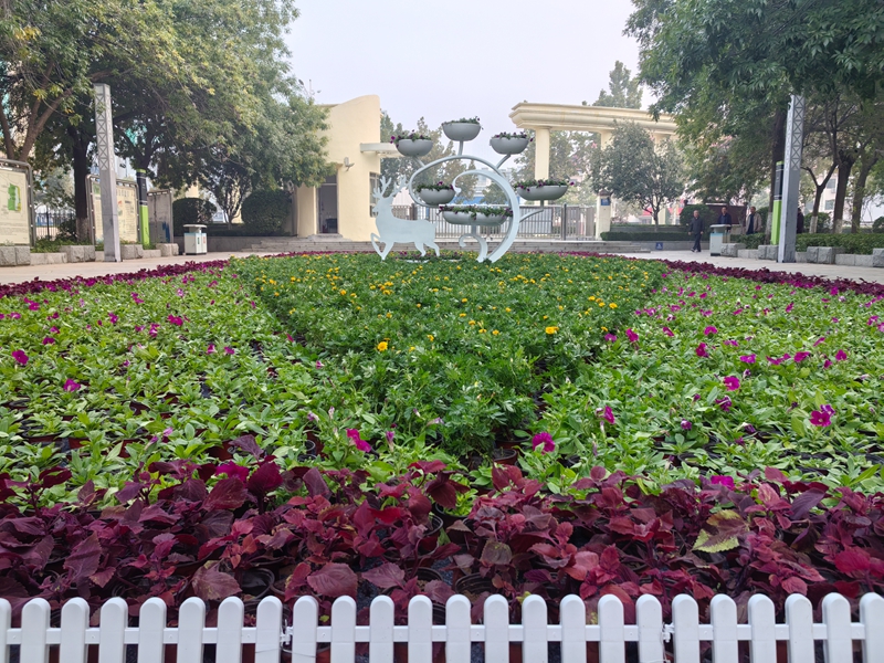 未命名_副本.jpg 未命名_副本.jpg