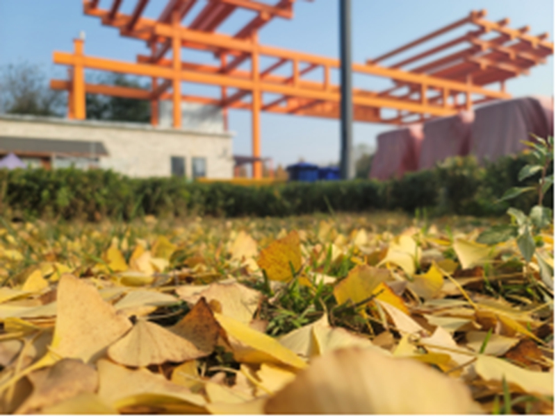 未命名_副本1.jpg 未命名_副本1.jpg