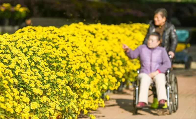 未命名_副本.jpg 未命名_副本.jpg