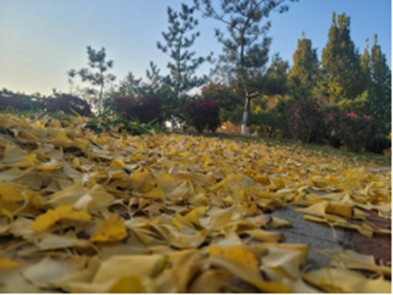 未命名_副本.jpg 未命名_副本.jpg