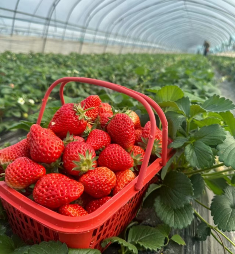 未命名_副本1.jpg 未命名_副本1.jpg