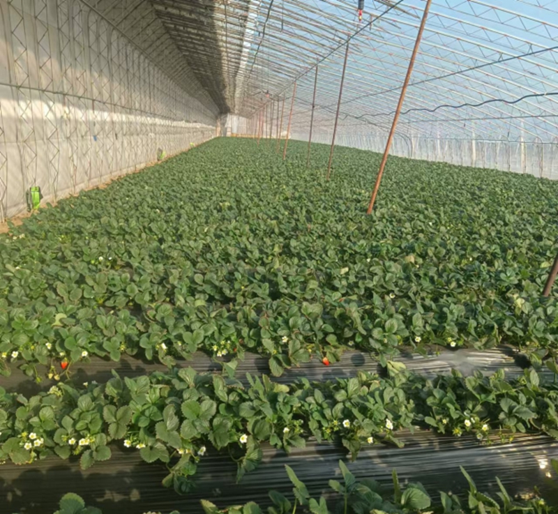 未命名_副本.jpg 未命名_副本.jpg