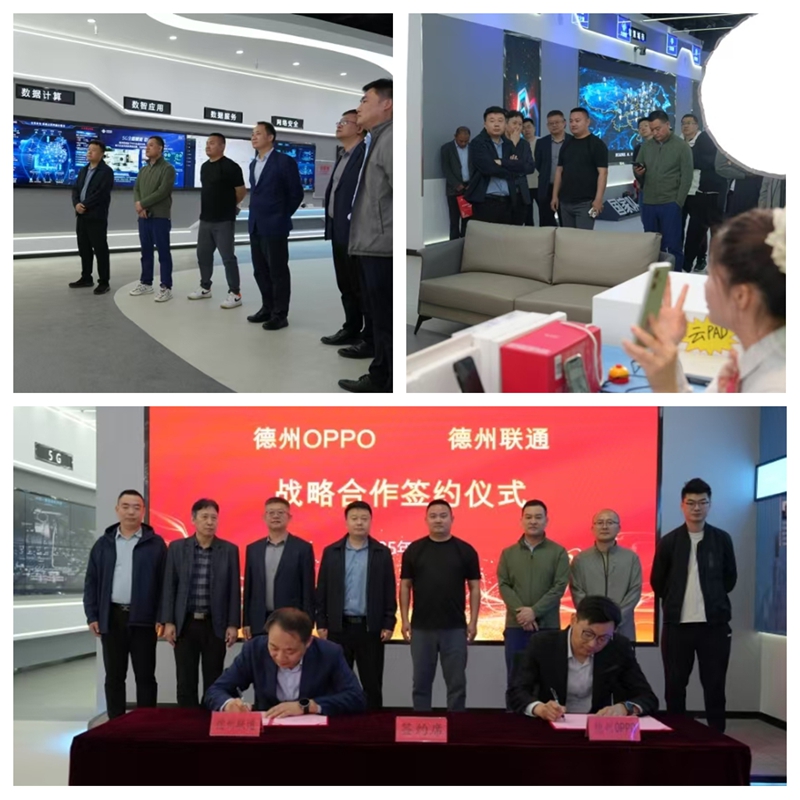 未命名_副本1.jpg 未命名_副本1.jpg