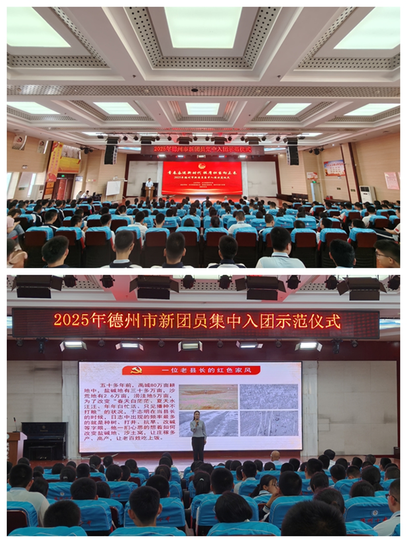 IMG20250515154238.jpg IMG20250515154238.jpg