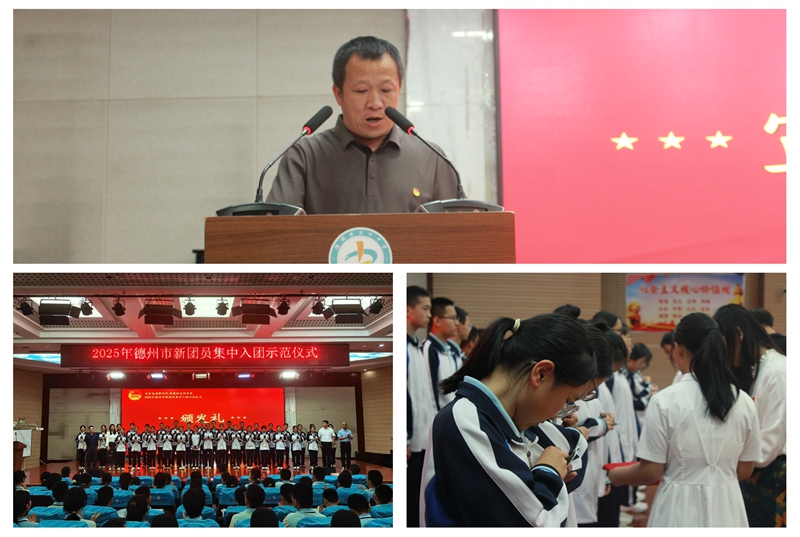 IMG20250515154238.jpg IMG20250515154238.jpg