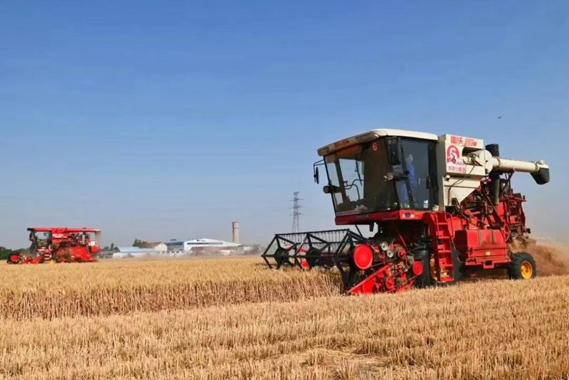 未命名_副本.jpg 未命名_副本.jpg