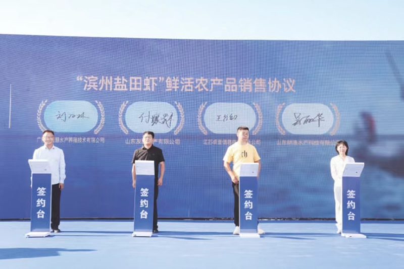 未命名_副本.jpg 未命名_副本.jpg