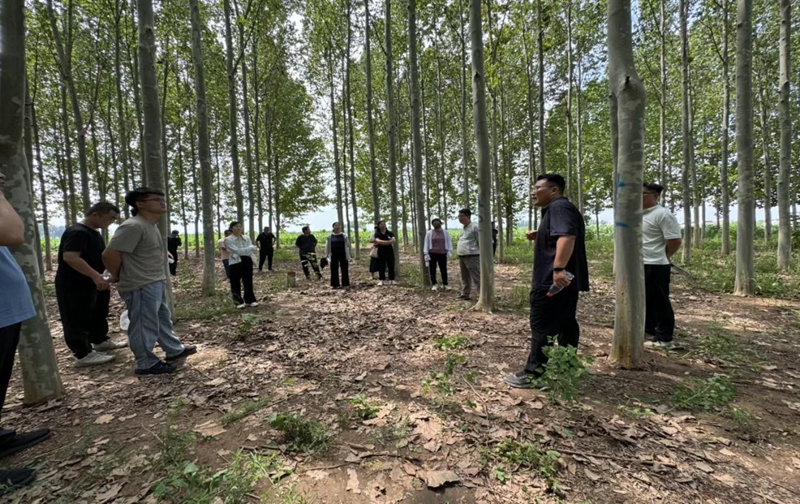 未命名_副本.jpg 未命名_副本.jpg