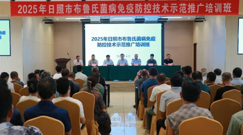 未命名_副本.jpg 未命名_副本.jpg