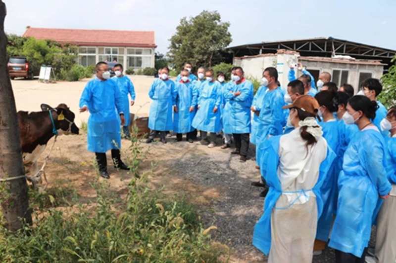 未命名_副本.jpg 未命名_副本.jpg