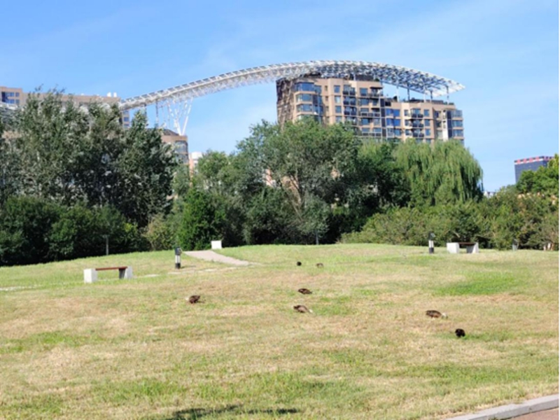 未命名_副本.jpg 未命名_副本.jpg