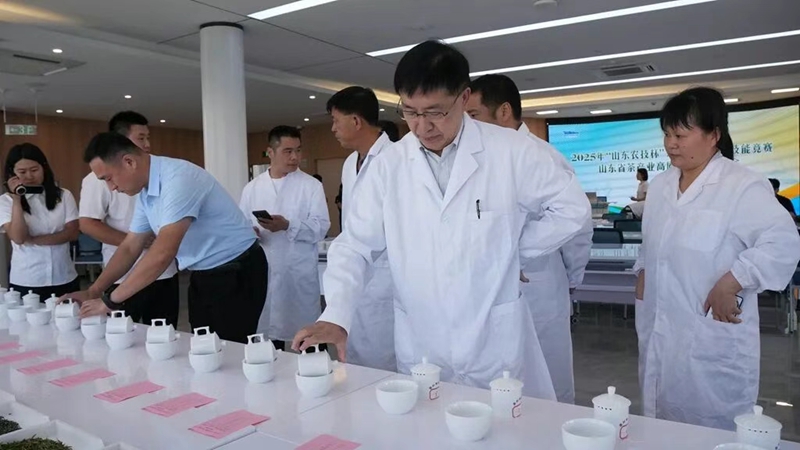 未命名_副本.jpg 未命名_副本.jpg