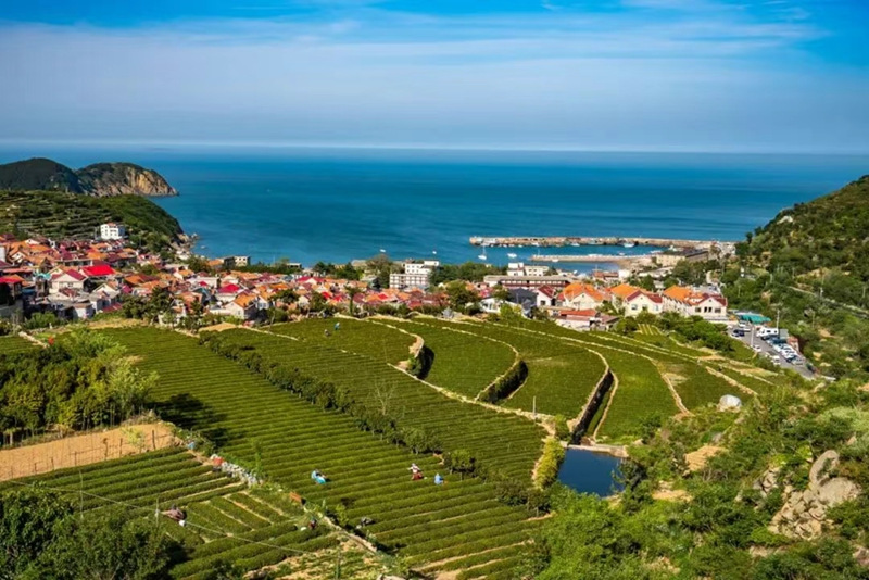 未命名_副本.jpg 未命名_副本.jpg