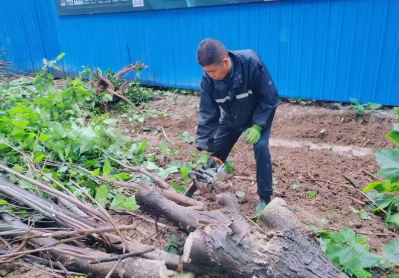 未命名_副本.jpg 未命名_副本.jpg