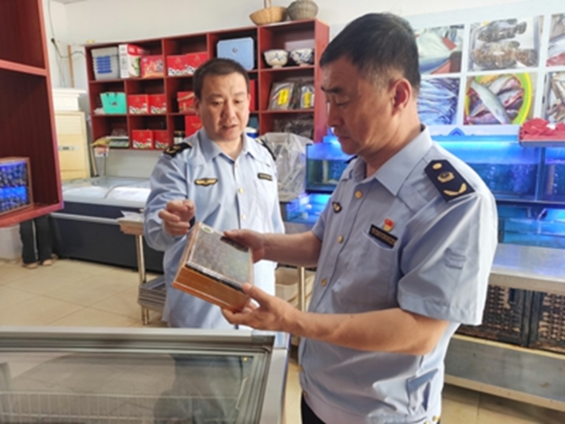 未命名_副本.jpg 未命名_副本.jpg