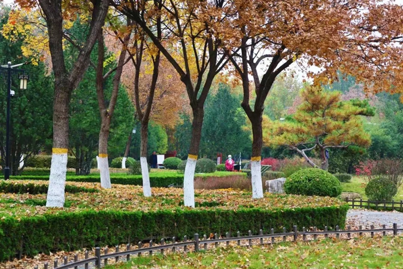 未命名_副本.jpg 未命名_副本.jpg