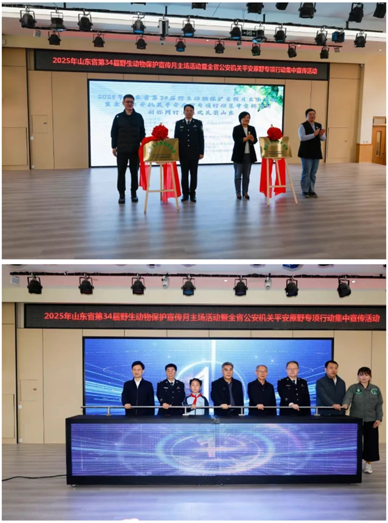 未命名_副本.jpg 未命名_副本.jpg