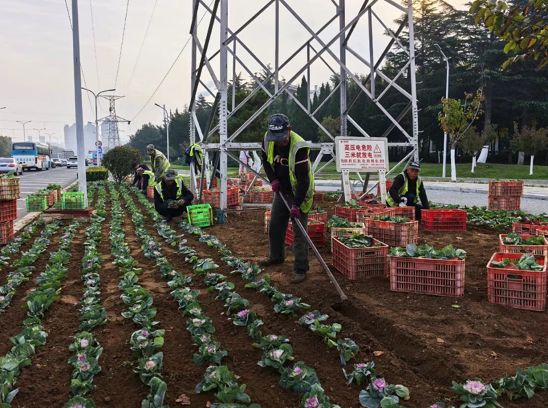 未命名_副本.jpg 未命名_副本.jpg