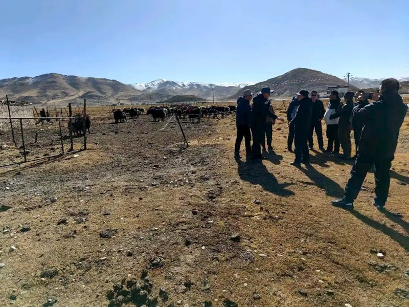 未命名_副本.jpg 未命名_副本.jpg