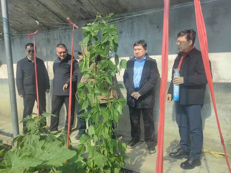 未命名_副本.jpg 未命名_副本.jpg