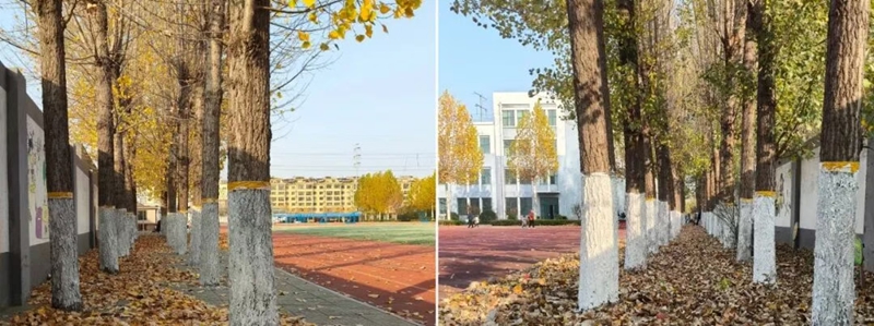 未命名_副本.jpg 未命名_副本.jpg