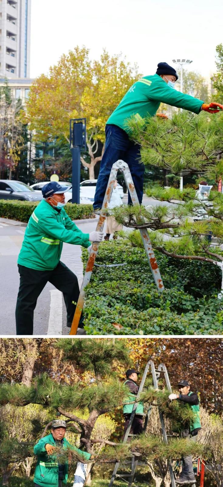 未命名_副本.jpg 未命名_副本.jpg