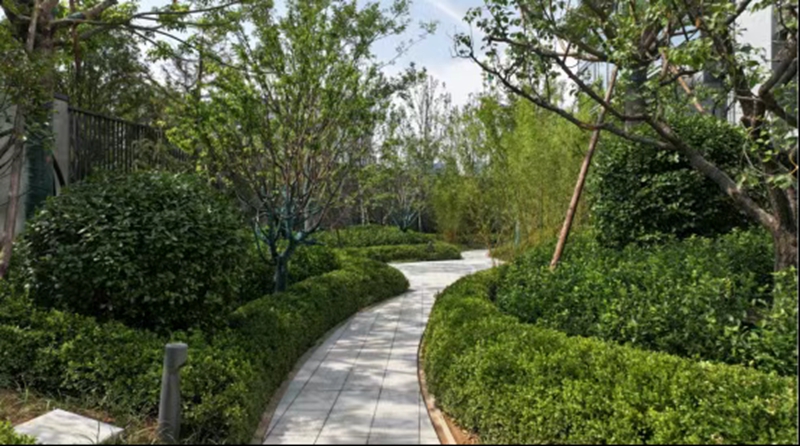 未命名_副本.jpg 未命名_副本.jpg