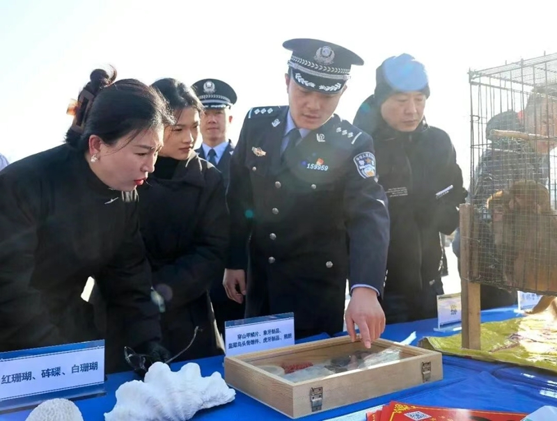 未命名_副本.jpg 未命名_副本.jpg