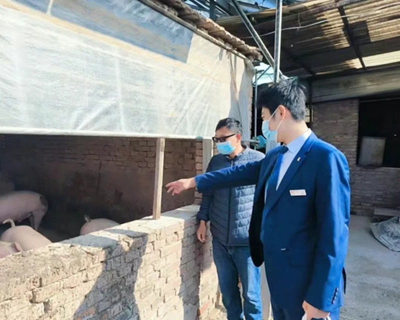 未命名_副本.jpg 未命名_副本.jpg