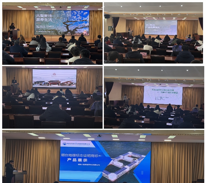 未命名_副本.jpg 未命名_副本.jpg