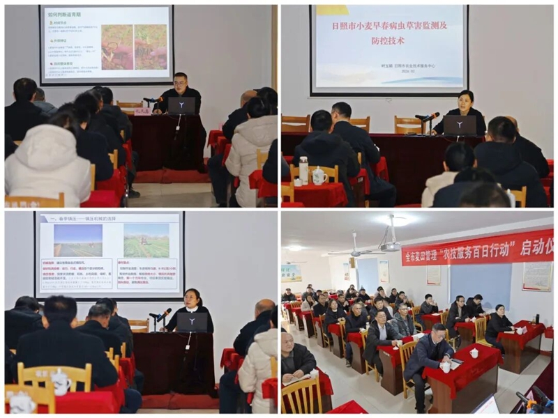 未命名_副本.jpg 未命名_副本.jpg